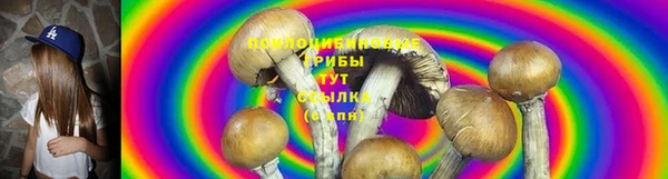 синтетический гашиш Богородицк