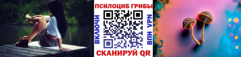где найти   Облучье  Псилоцибиновые грибы Magic Shrooms 