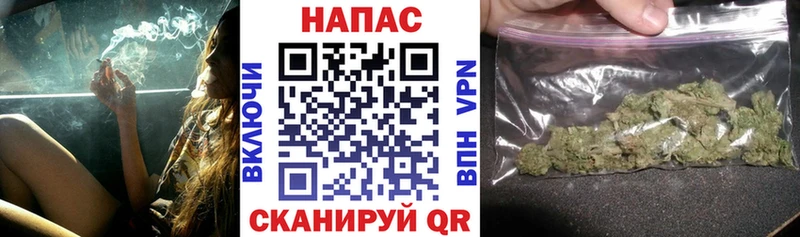 купить наркотик  Облучье  ОМГ ОМГ ссылка  Каннабис сатива 